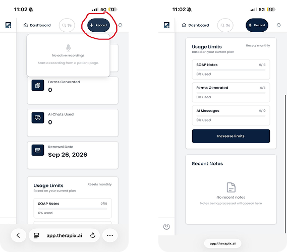 Therapix mobile app with the prominent Record action highlighted