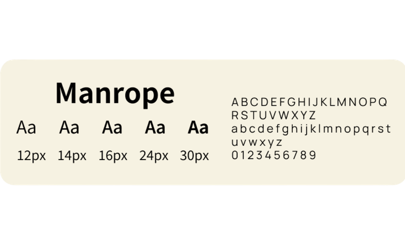 Zapp Wallet typography scale and type styles